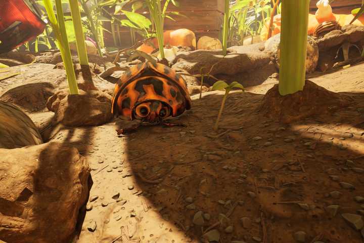 Grounded Insect Inmages Grounded 2 | Polygon.com