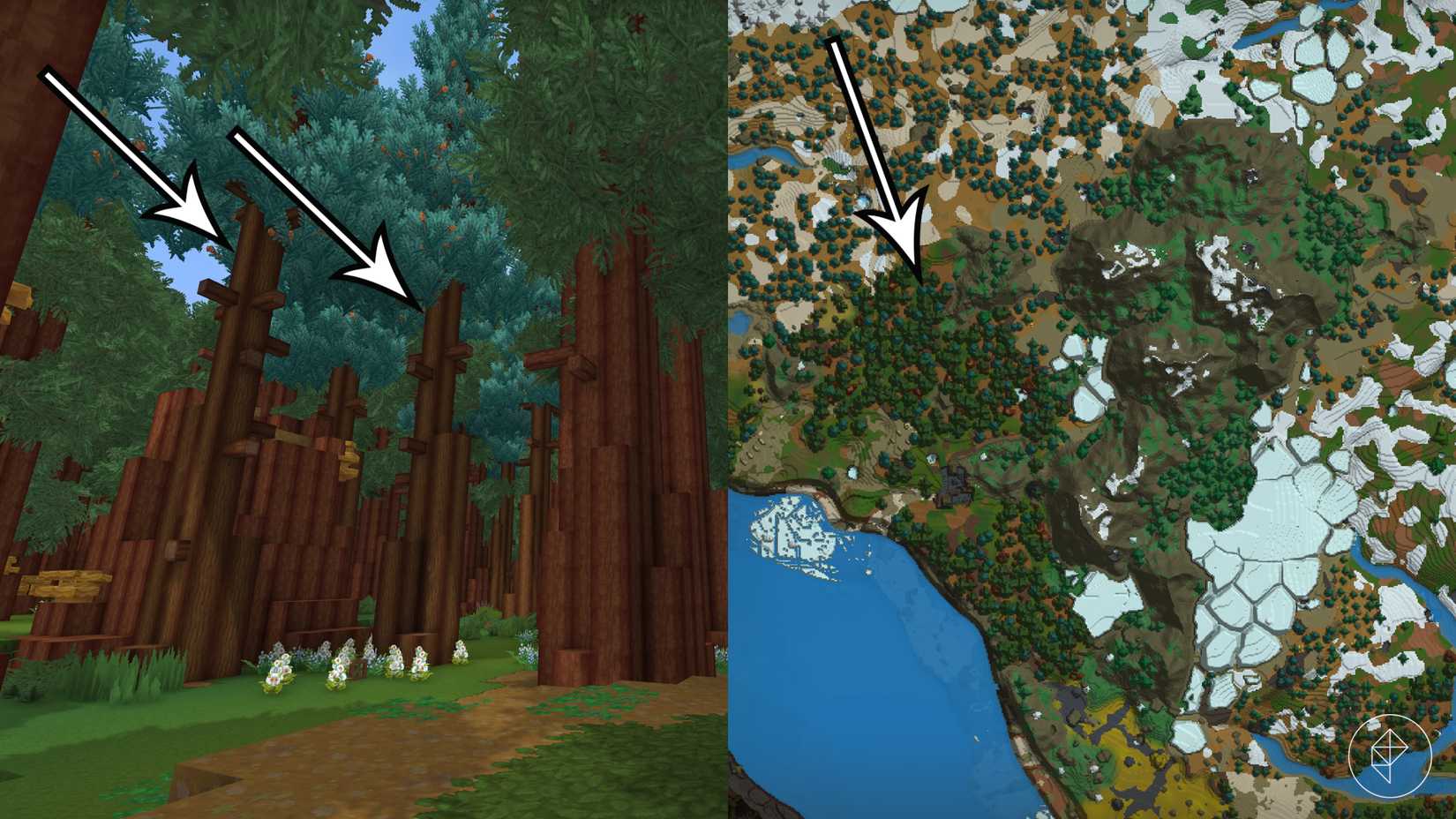 A forest with cedar and redwood in Hytale.
