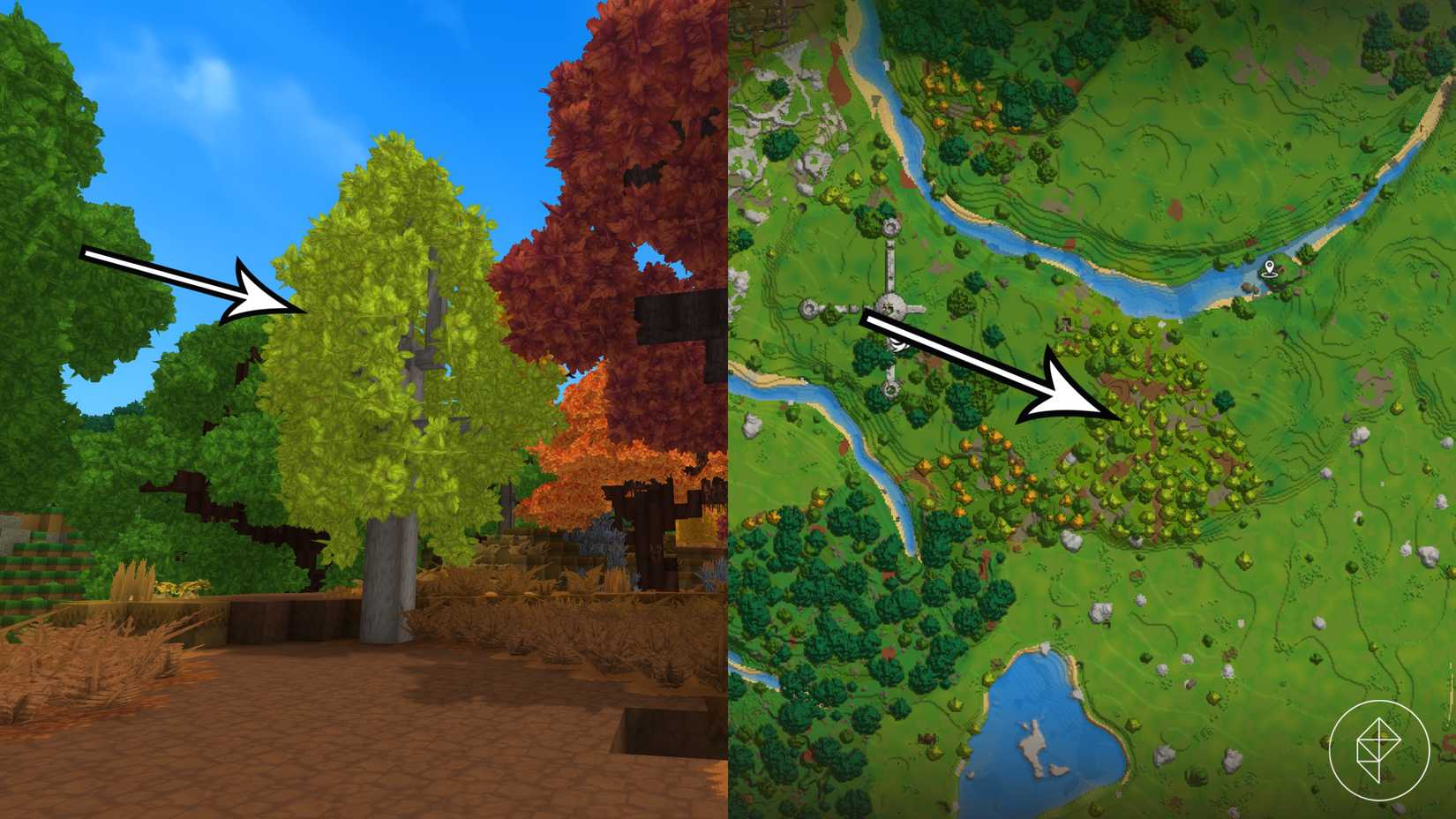 A birch lightwood tree in Hytale.