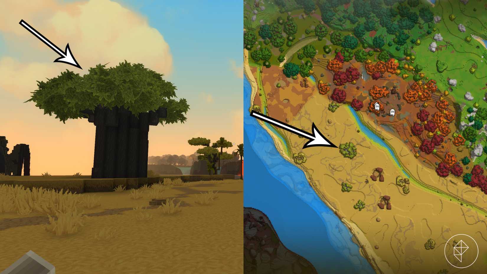 A gumboab lightwood tree and its map location in Hytale.