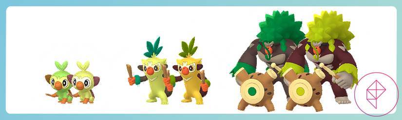 Grookey, Thwackey, and Rillaboom with their shiny versions. Each of them turn a more lime-yellow color.