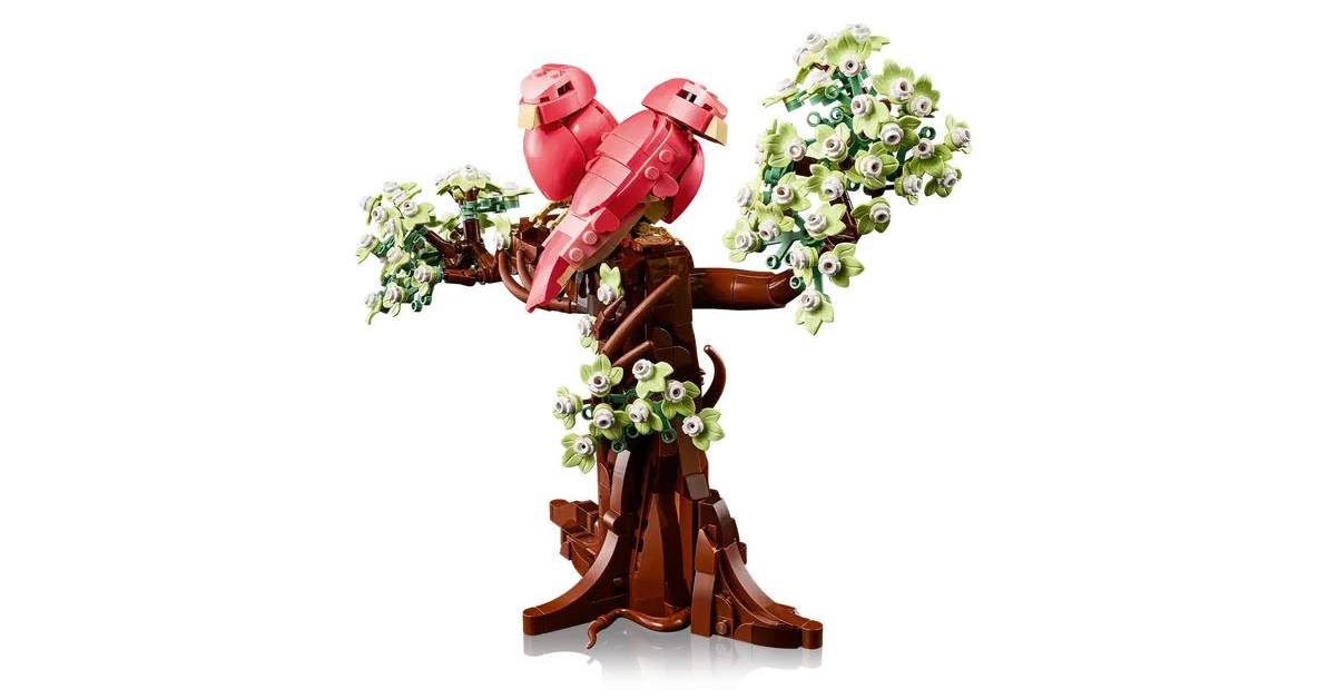 lovebirds.JPG?w=1200&h=628&fit