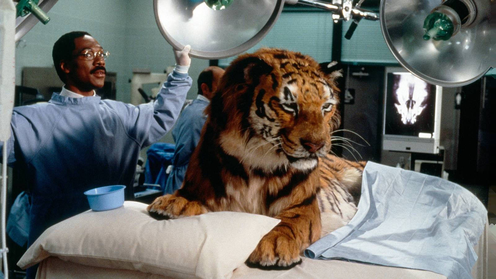 Check out one of Eddie Murphy’s best comedies (and its so-so sequel) before it leaves Netflix