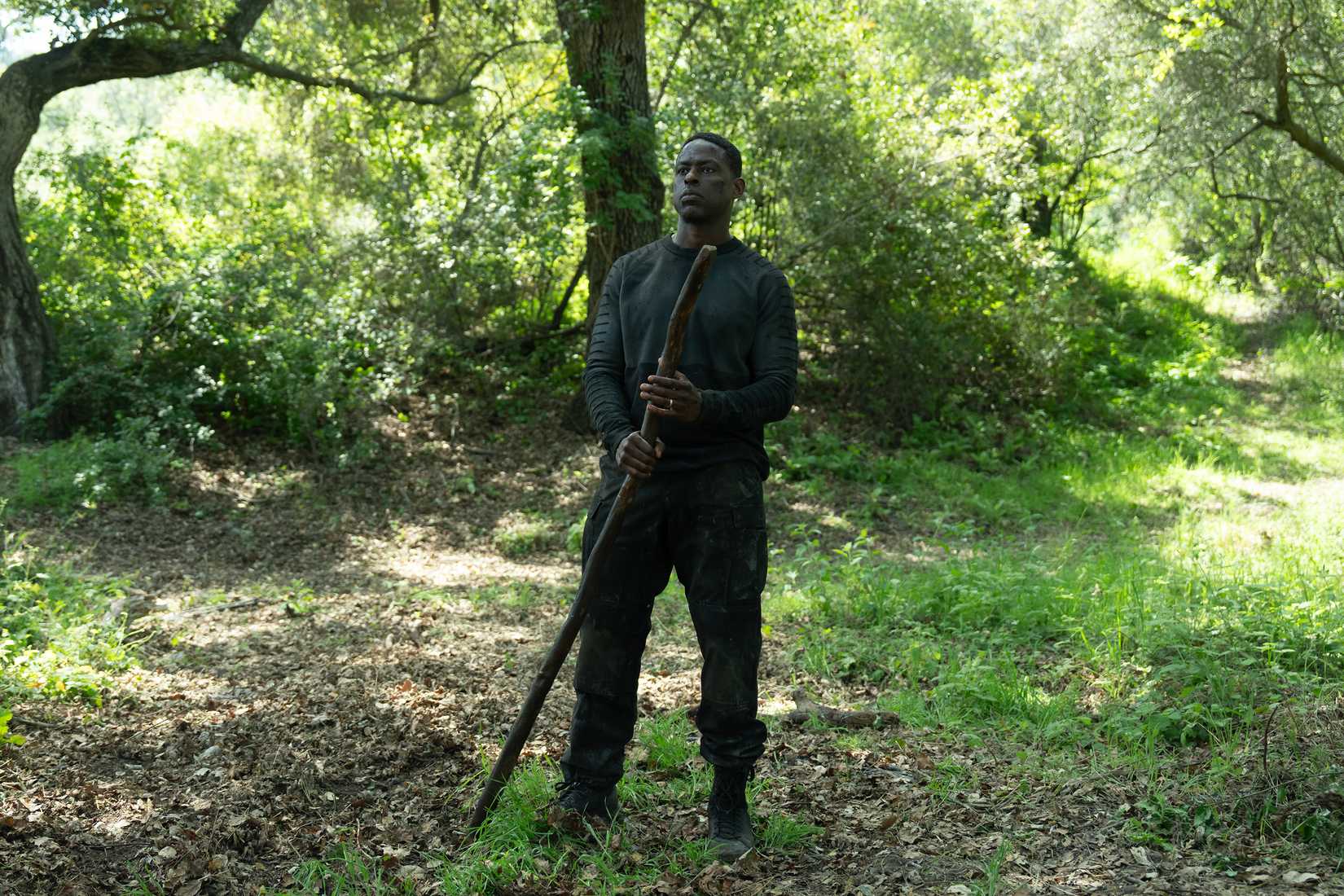 Shailene Woodley joins the cast of Paradise