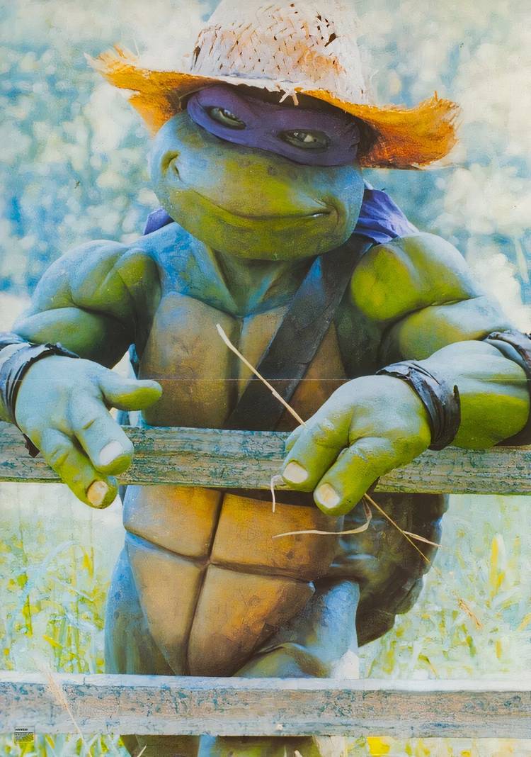 The Ninja Turtle Donatello in a cowboy hat