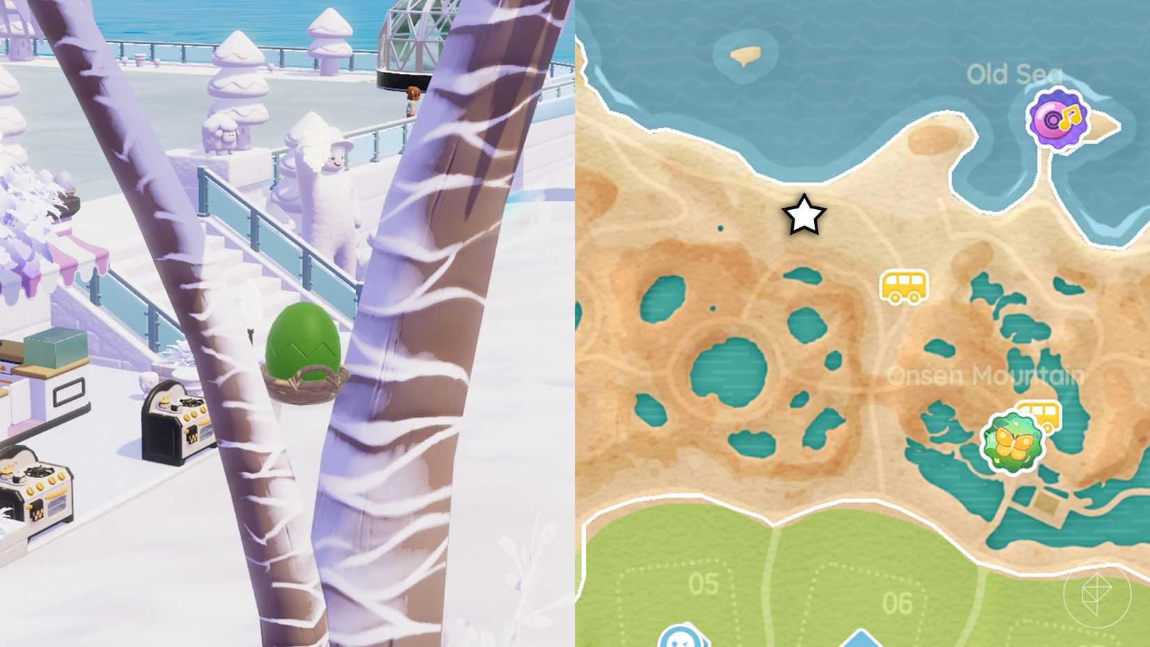 A green cracked egg caught between the branches of a heartpia palm tree