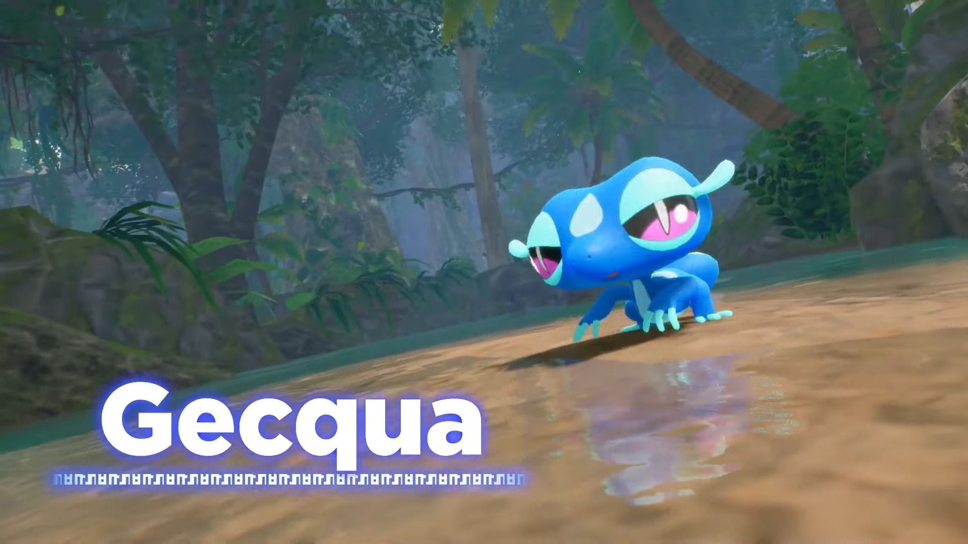 Gecqua Starter Pokémon