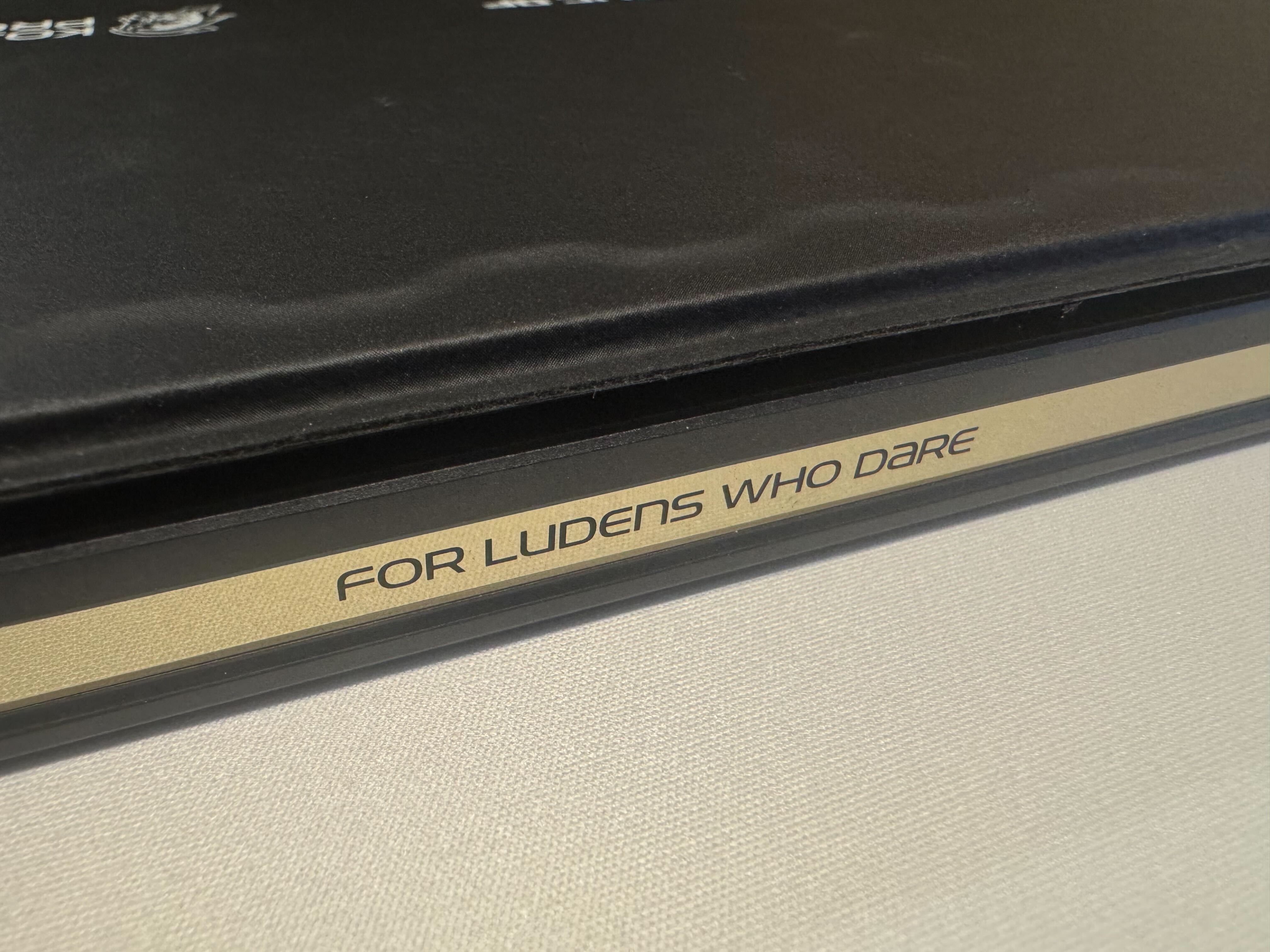 Ludens motto detail