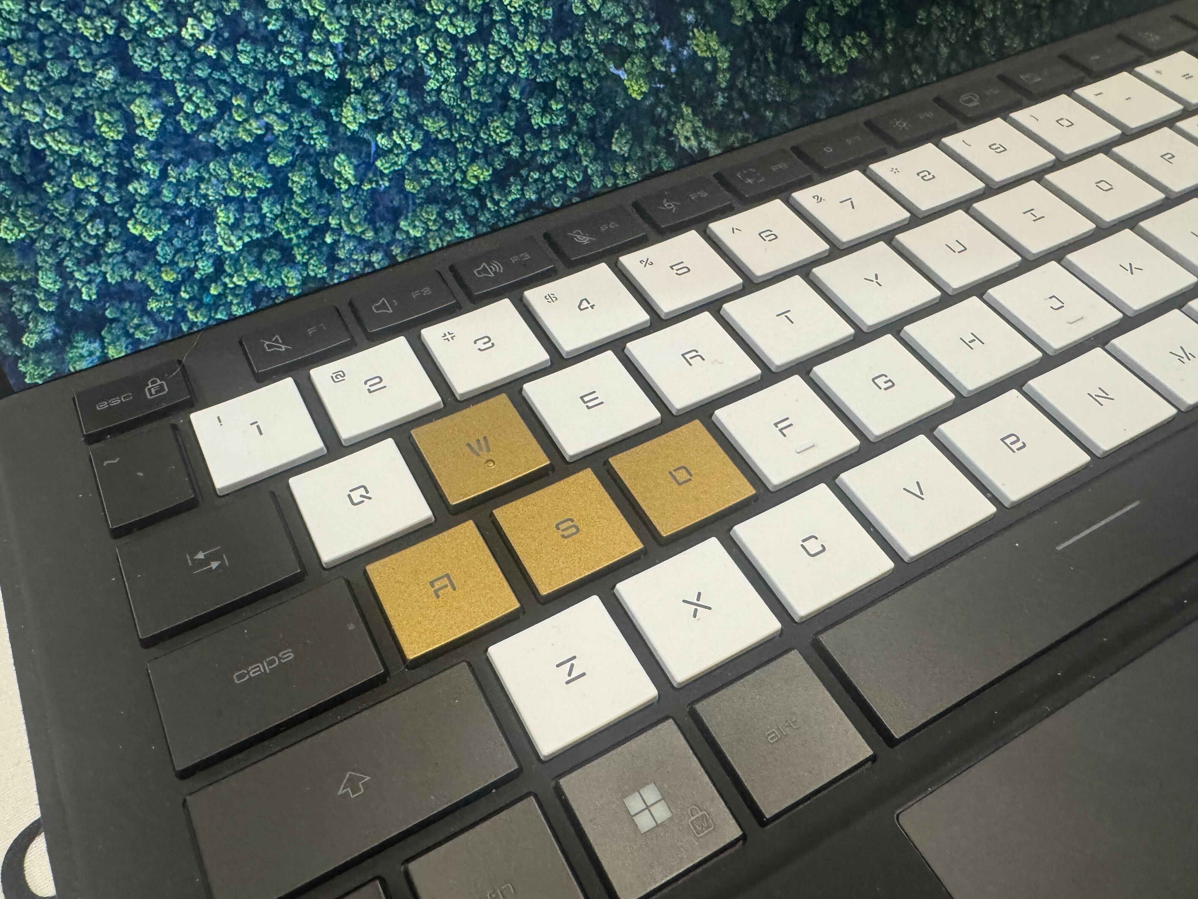Gold WASD keys