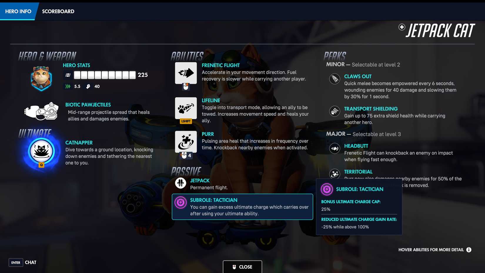 Kit Jetpack para gatos