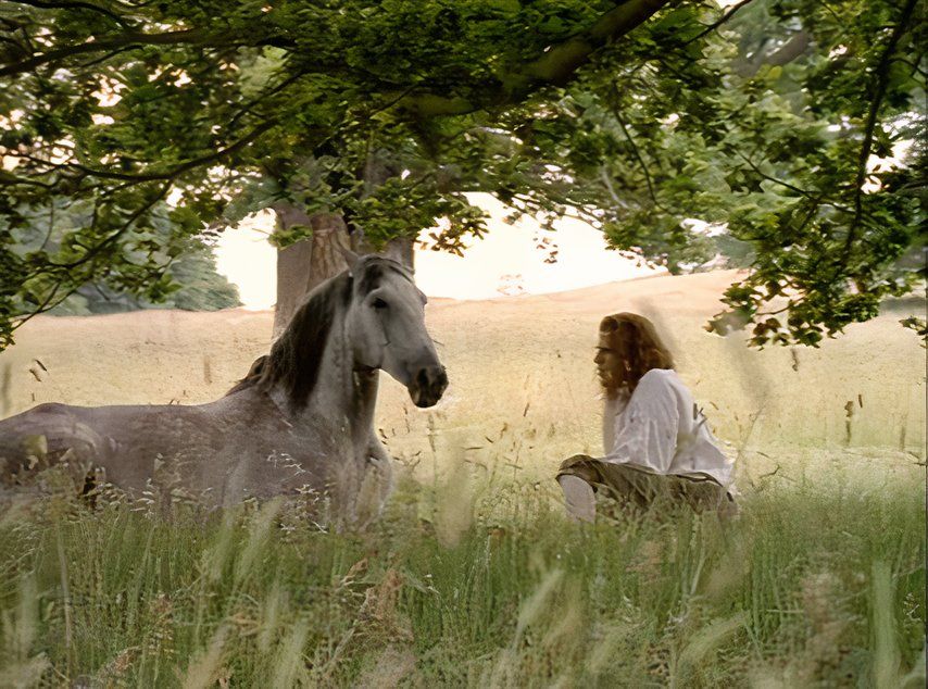 Gulliver with a horse