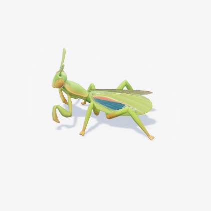 A green mantis with some blue wings in Heartopia.