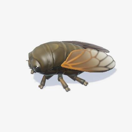 A brown cicada in Heartopia