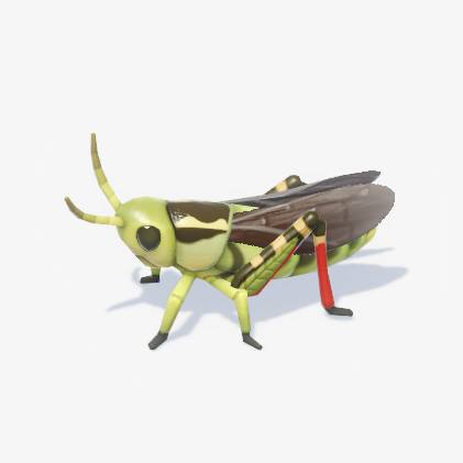 A green grasshopper with brown wings and red back legs in Heartopia.