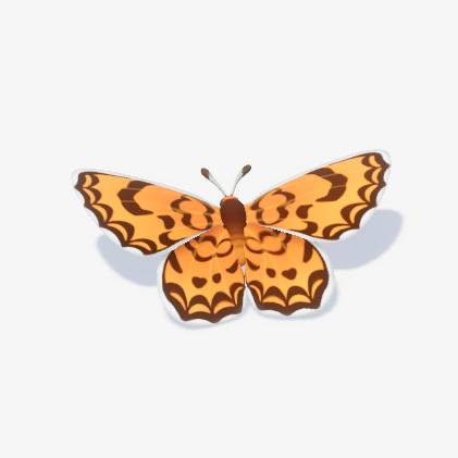 An orange and brown butterfly with leopard-like patterns on it in Heartopia