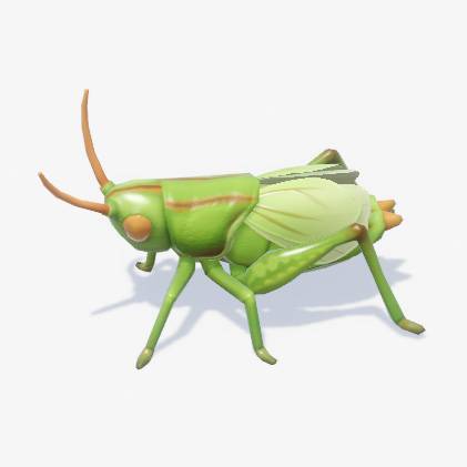 A solid green grasshopper with golden eyes in Heartopia.