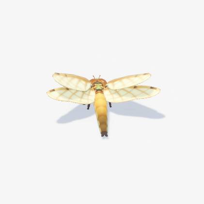 A golden dragonfly in Heartopia.