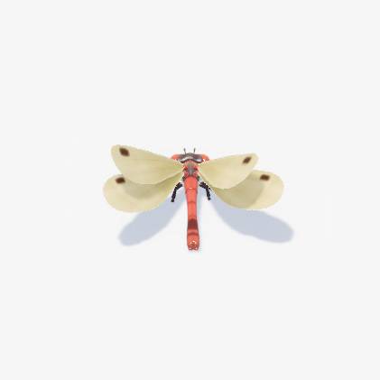 A dragonfly with a red body in Heartopia.