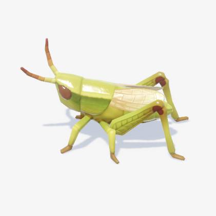 A plain green grasshopper in Heartopia.