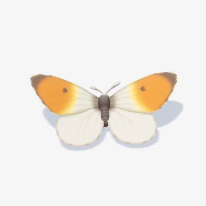 A white butterfly with orange and brown wing tips in Heartopia.