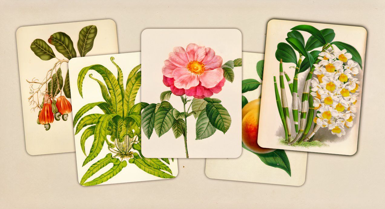 Art of Flora is an unexpectedly perfect complement to Pokémon Pokopia