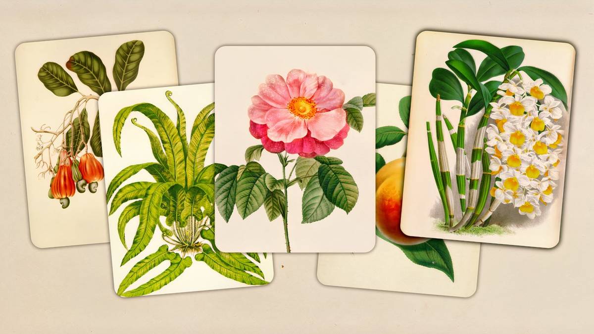 Art of Flora is an unexpectedly perfect complement to Pokémon Pokopia