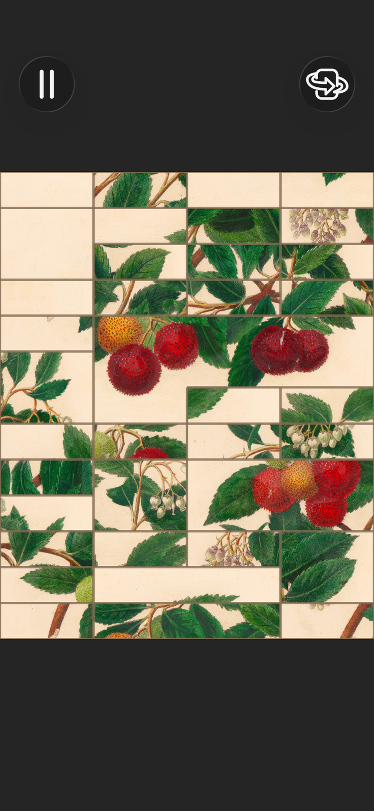 A scrambled plant puzzle appears in Art of Flora.