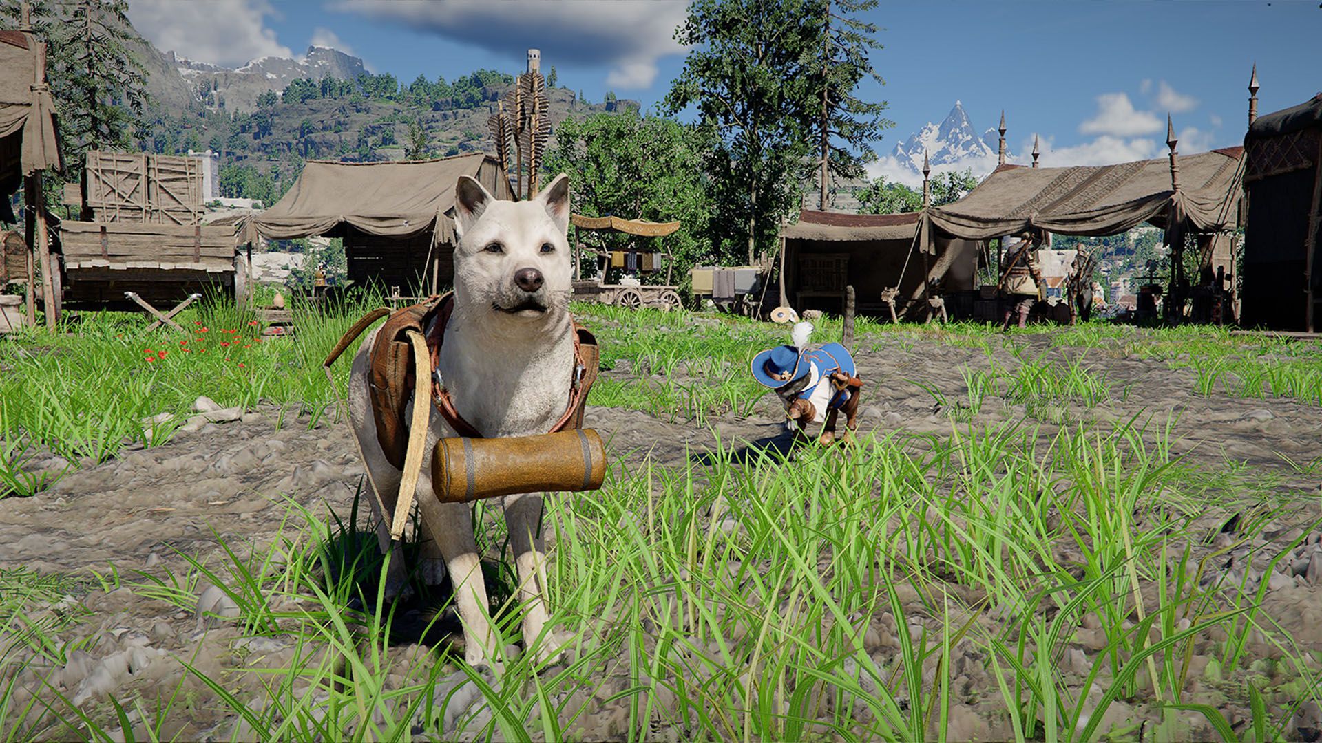 How to get pet armor in Crimson Desert