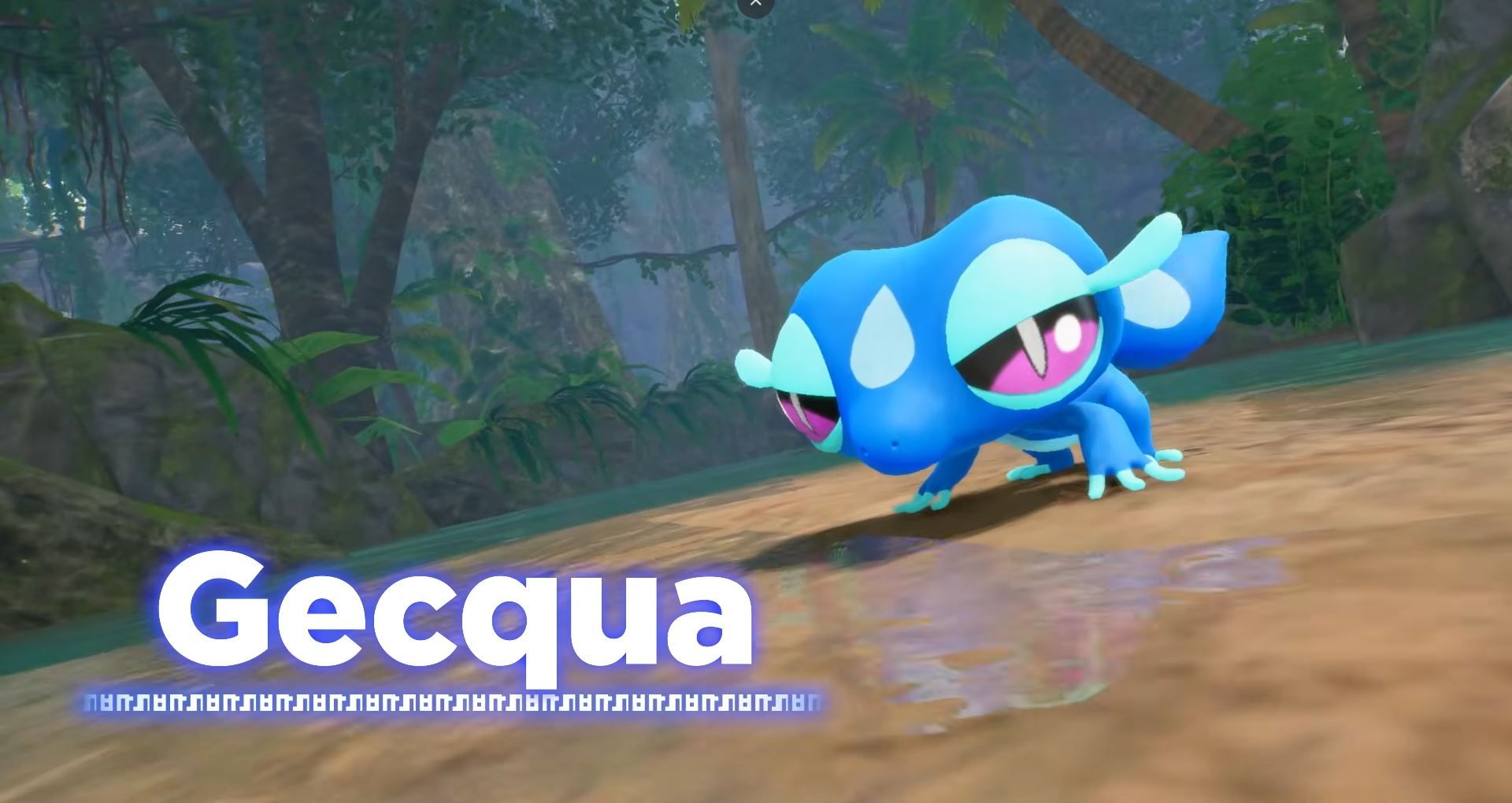 The water starter in Pokemon Winds and Waves, Gecqua.