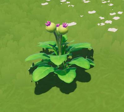 A green plant with purple sprouts at the top in Heartopia