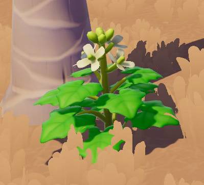A green leafy plant with white-ish flowers at the top in Heartopia