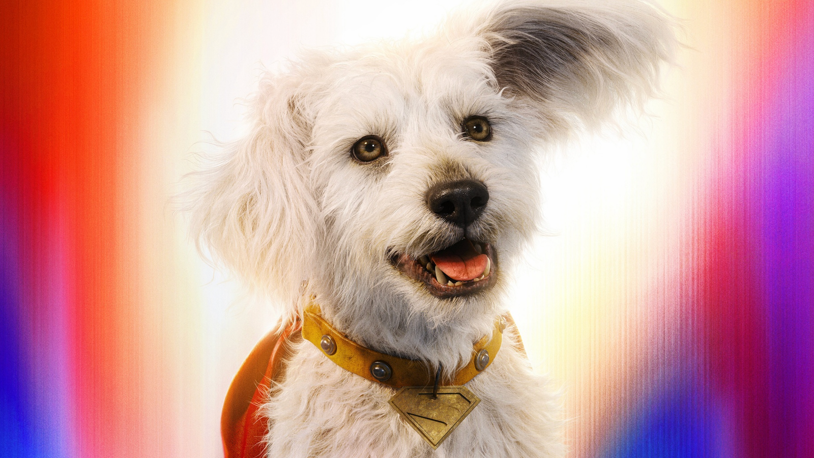 Does the dog die in Supergirl? Movie trailer recreates a dark moment from the comic