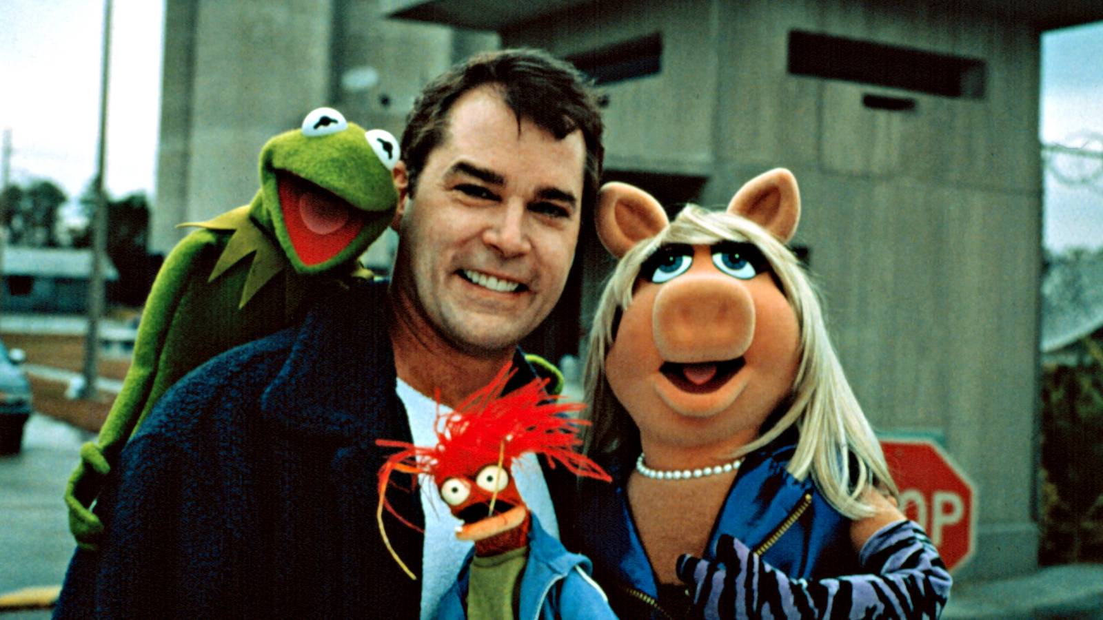 ‘He’s kind of like a male Miss Piggy’ ‘He’s kind of like a male Miss Piggy’