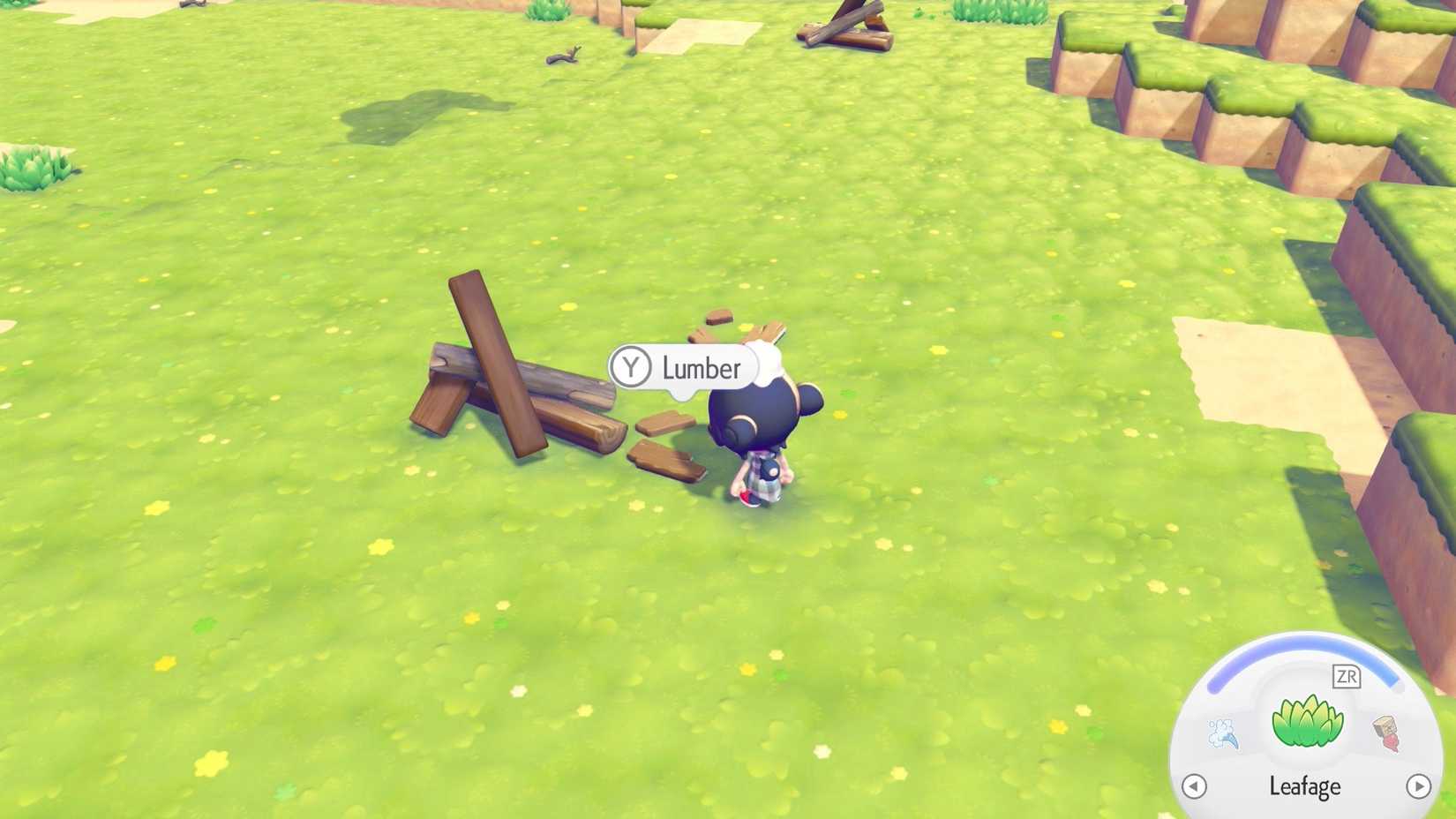 A Ditto stands in front of a little bit of lumber on the ground in Pokopia