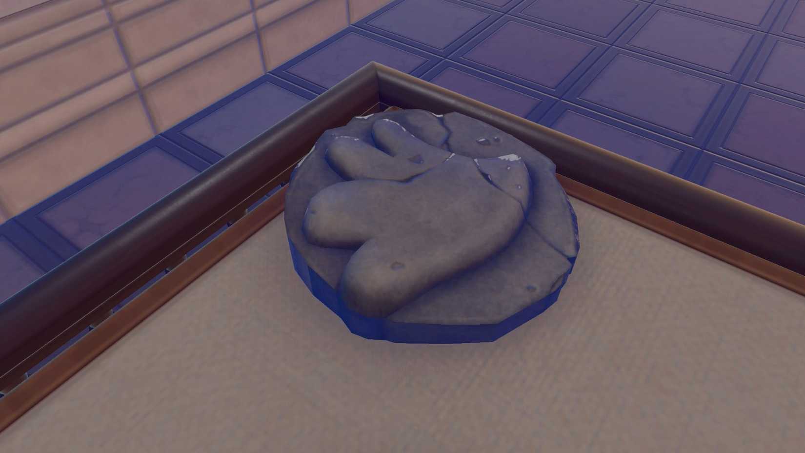 A small, round Sail Fossil, as seen in Pokopia