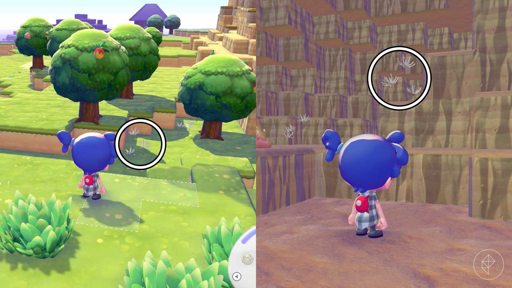 A montage of two Pokémon Pokopia screenshots showing the location of two cotton spores