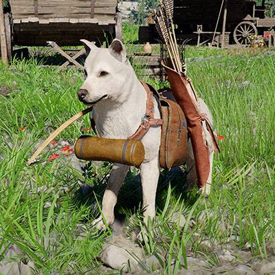 A dog wearing a leather harness with a bow and quiver full of arrows in Crimson Desert.