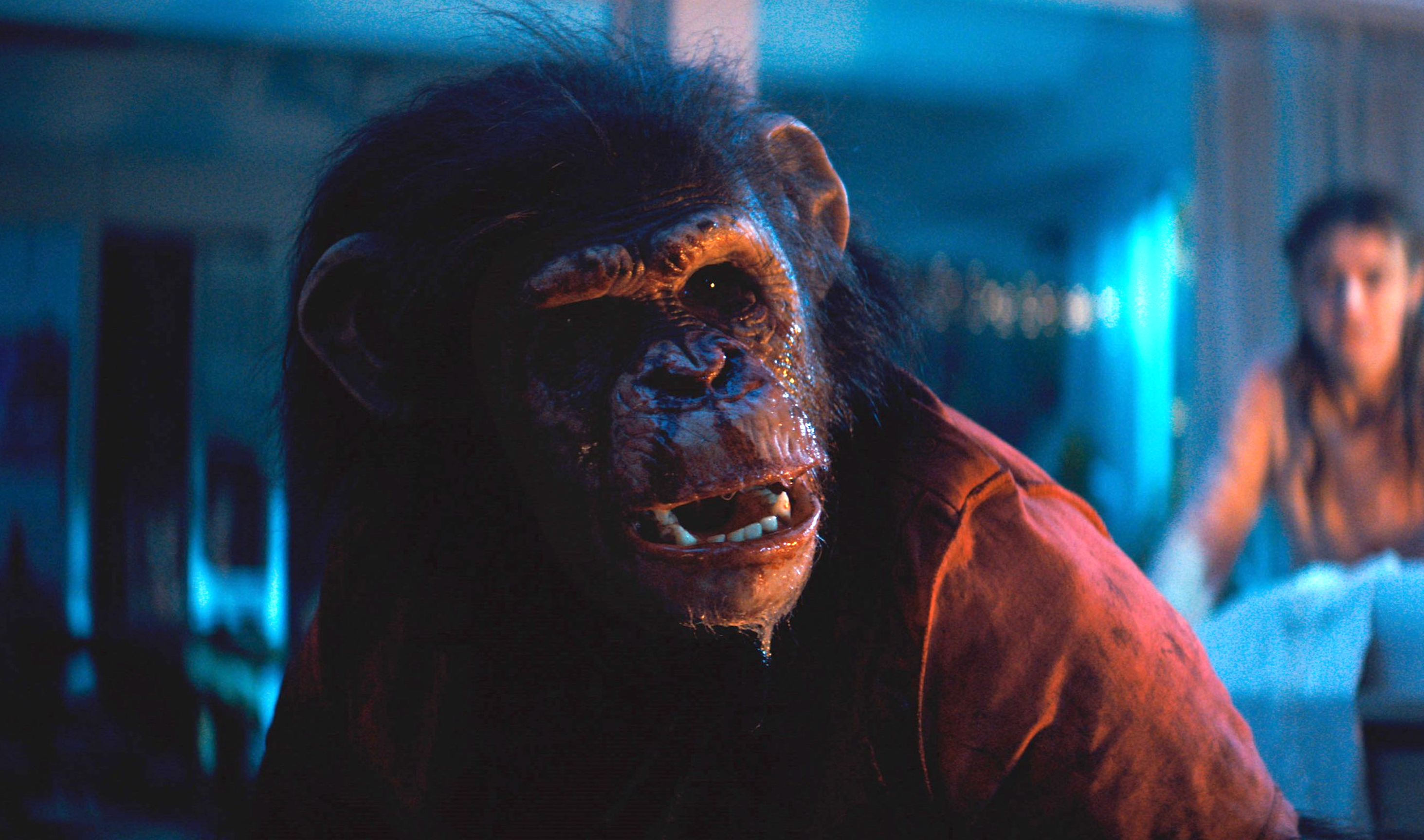 Primate, now streaming on Paramount Plus, is a well-crafted killer-chimp B-movie
