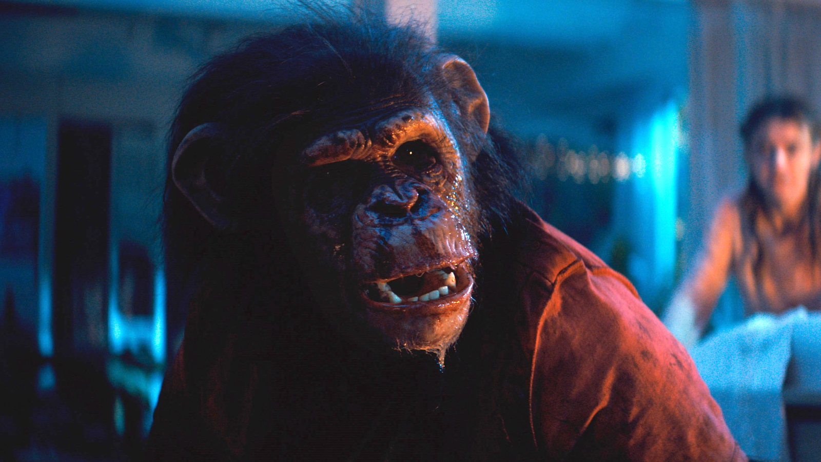 Primate, now streaming on Paramount Plus, is a well-crafted killer-chimp B-movie Primate, now streaming on Paramount Plus, is a well-crafted killer-chimp B-movie
