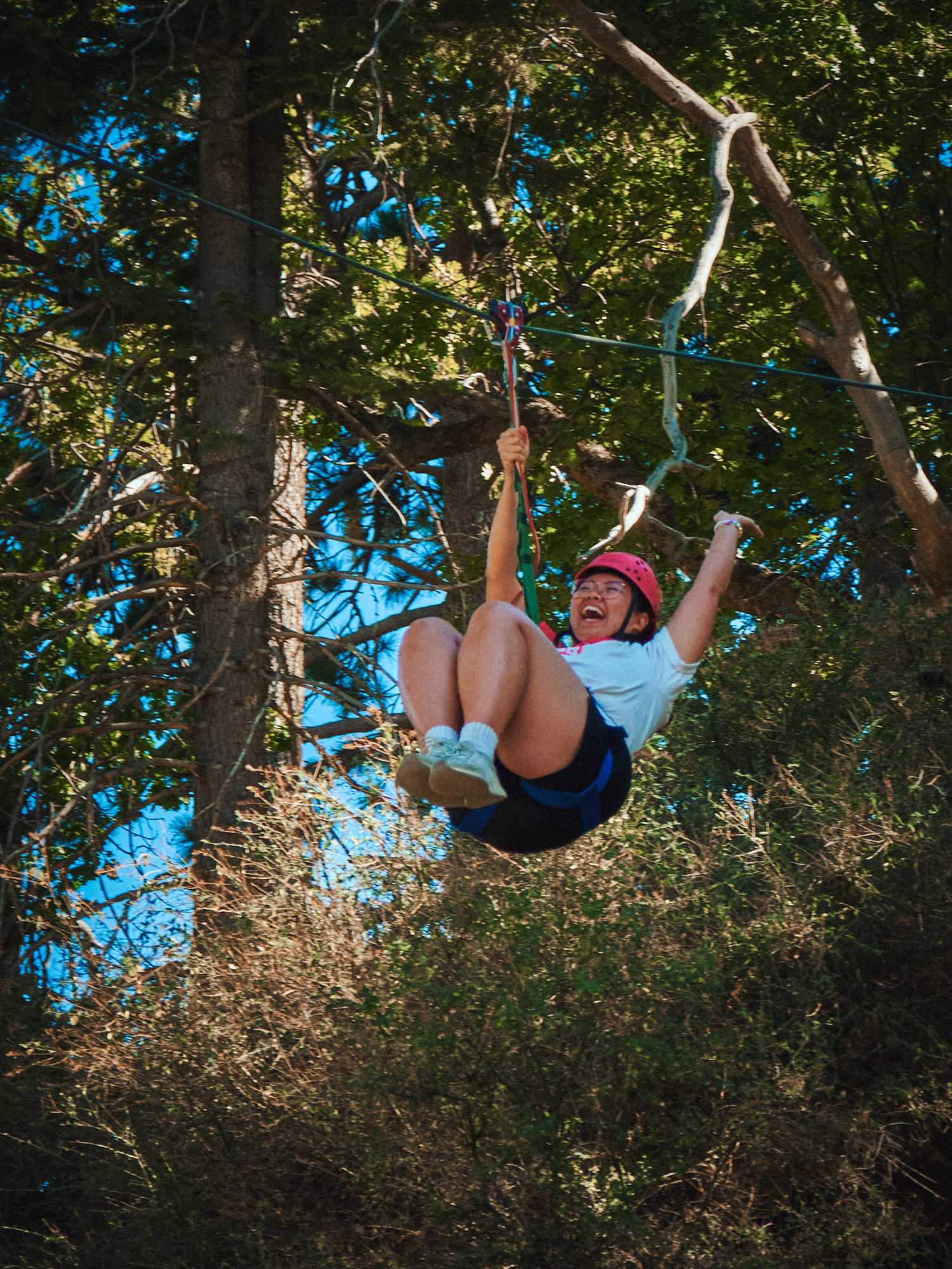 dungeons and cabins ziplining