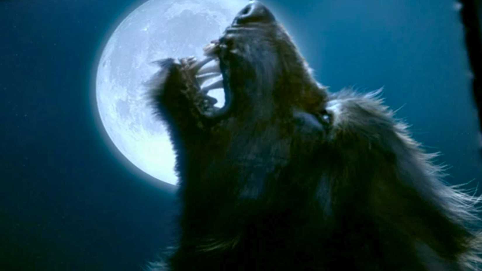 An image featuring a close-up of a werewolf howling at a bright white moon.