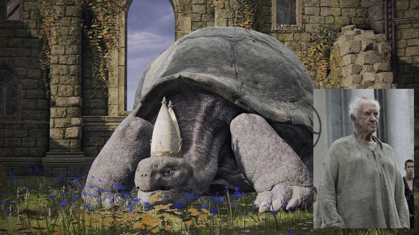 elden ring turtle pope