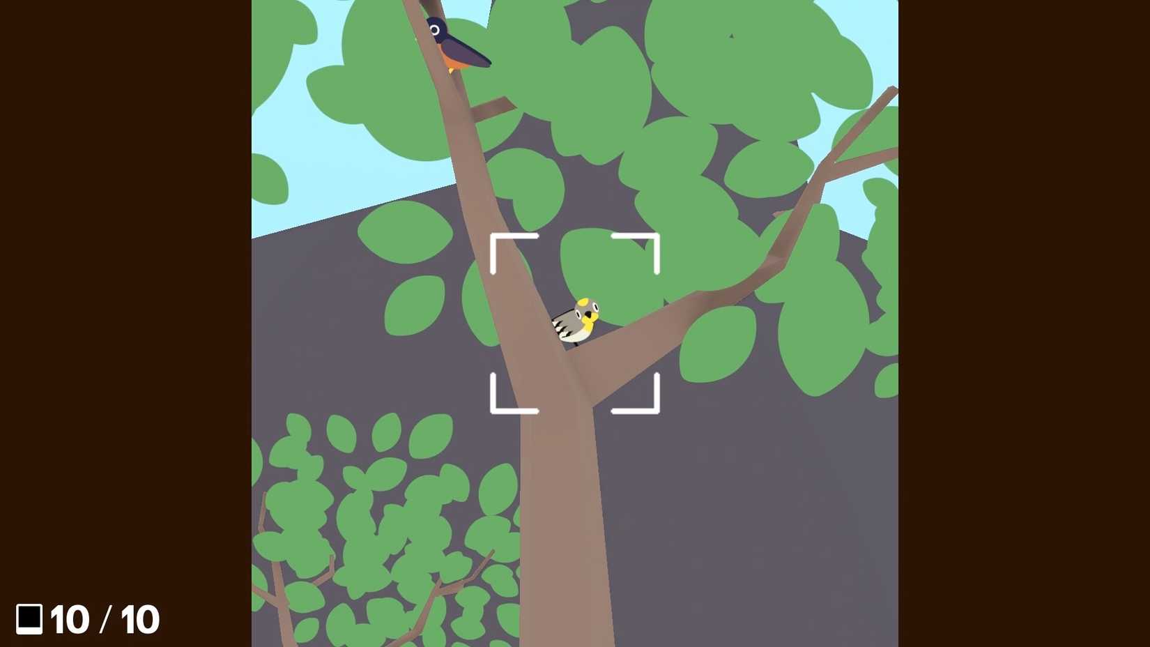 A player frames a bird through a camera in Flock Around.