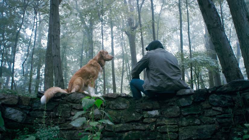 A dog (Indy) sits next to his owner (Todd) in a forest in Good Boy