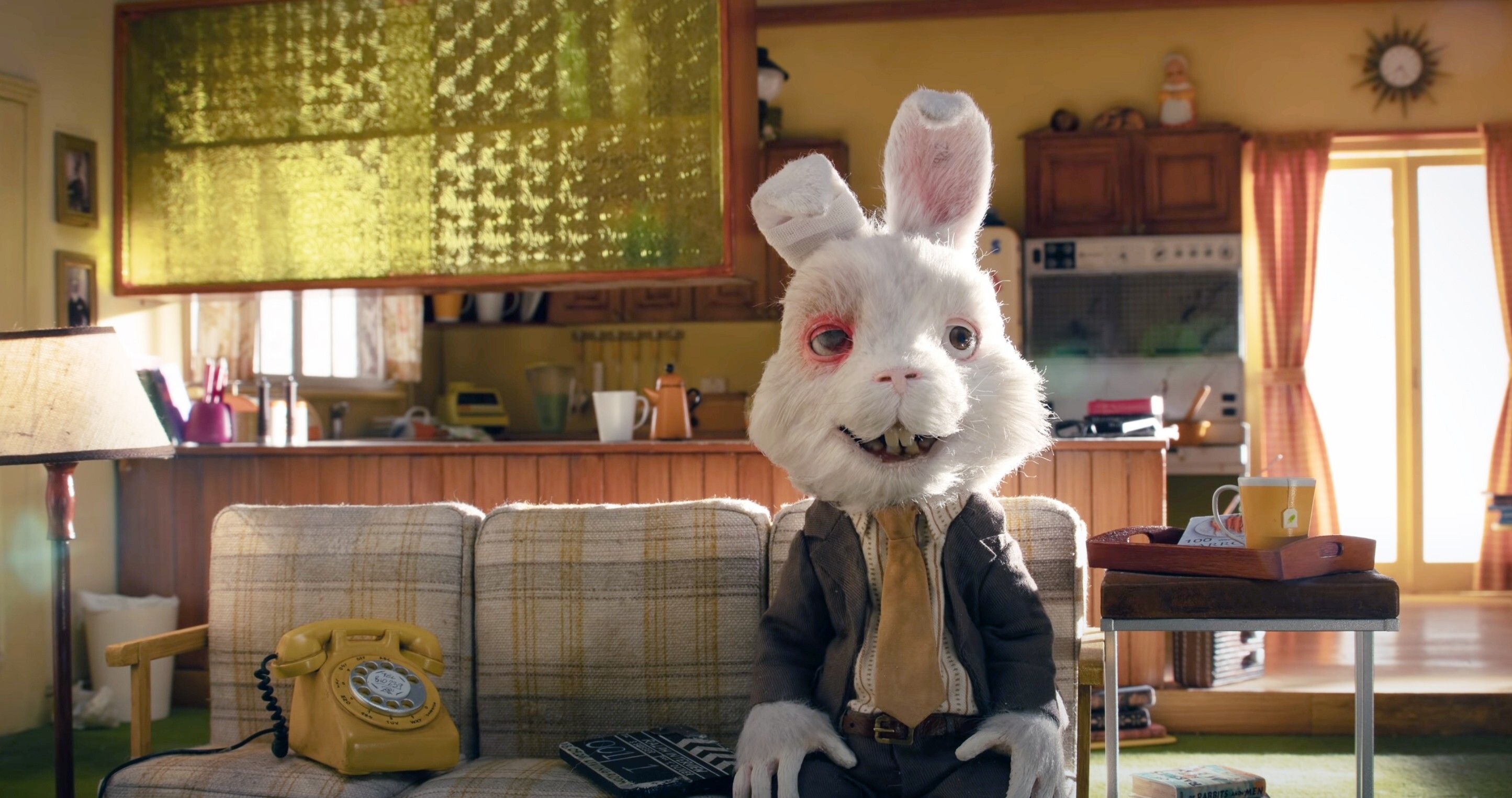 Ralph, a rabbit, speaks to the camera.