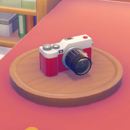Camera