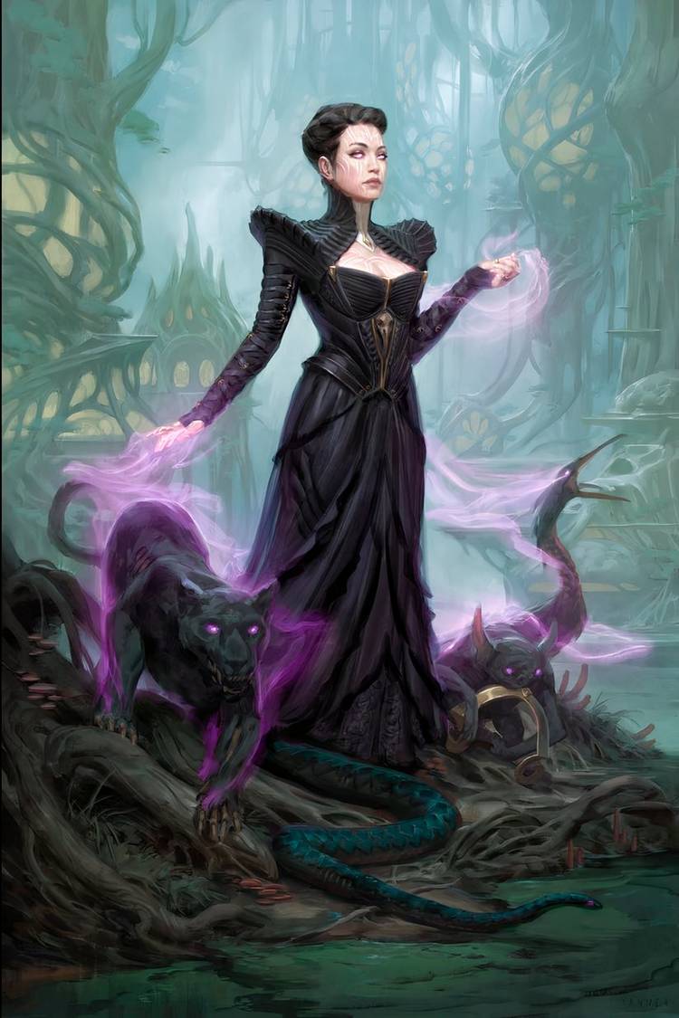 professor onyx liliana art