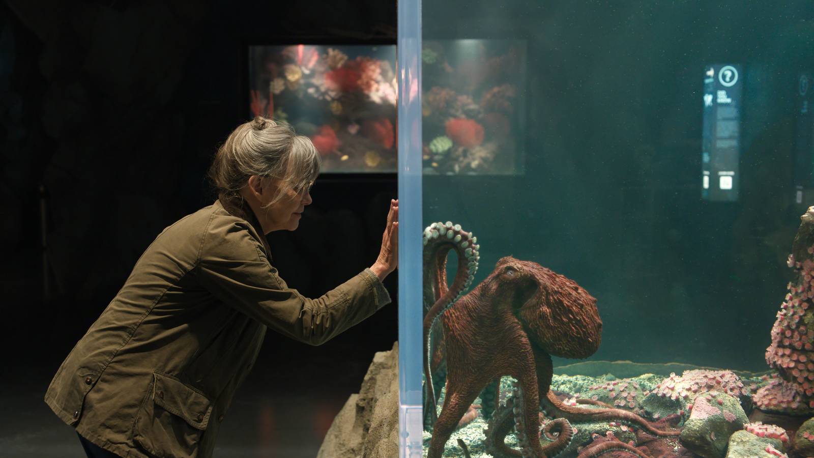 Netflix's new talking octopus movie might wrexk you if it's anything like the book