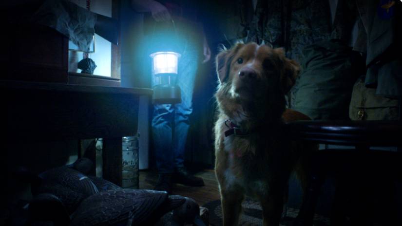 Indy the dog looks confused while being surrounded by humans in Good Boy