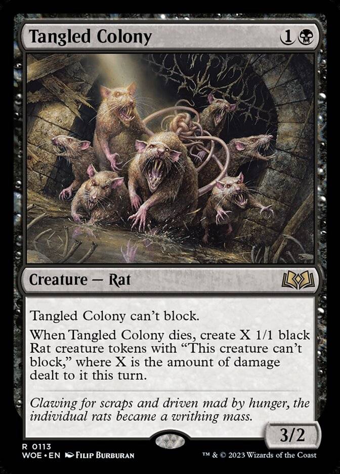 tangled colony mtg